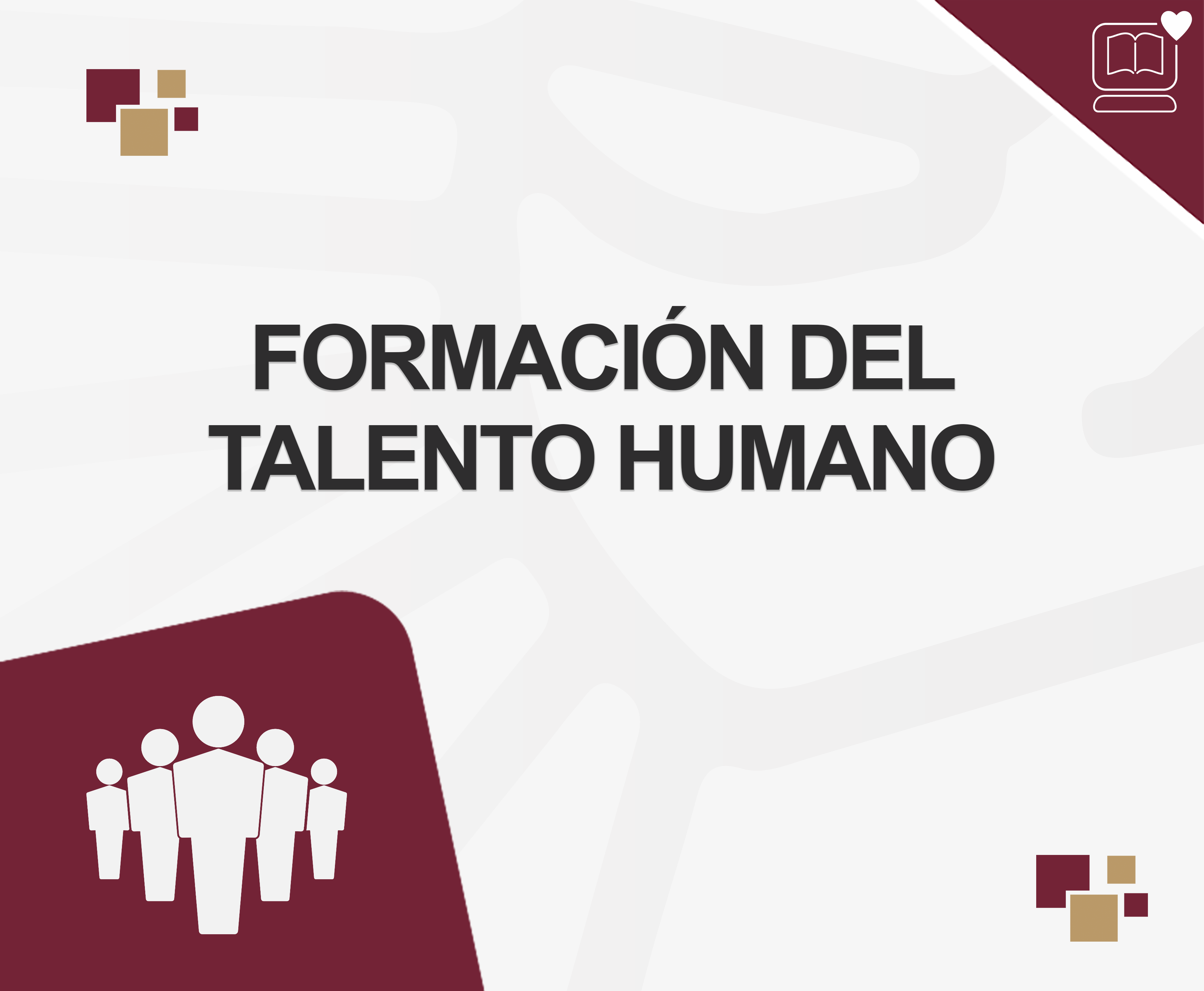 Formación del Talento Humano IEDEP.AD7070