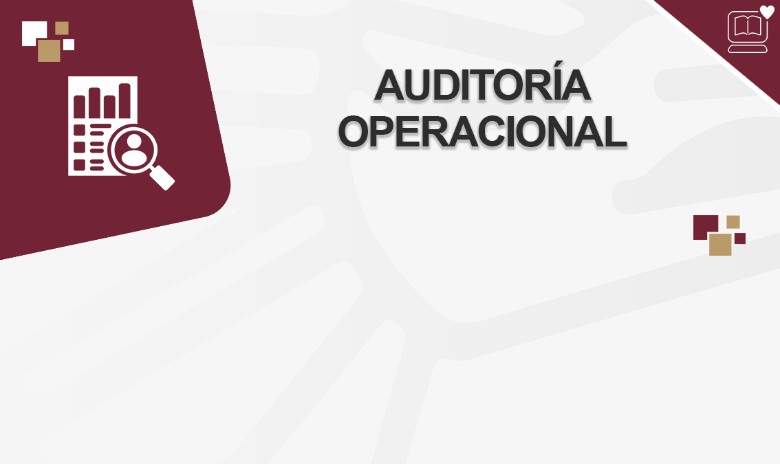 Auditoría Operacional IEDEP.AD9030