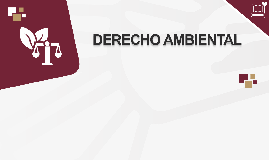 Derecho Ambiental IEDEP.DER0903