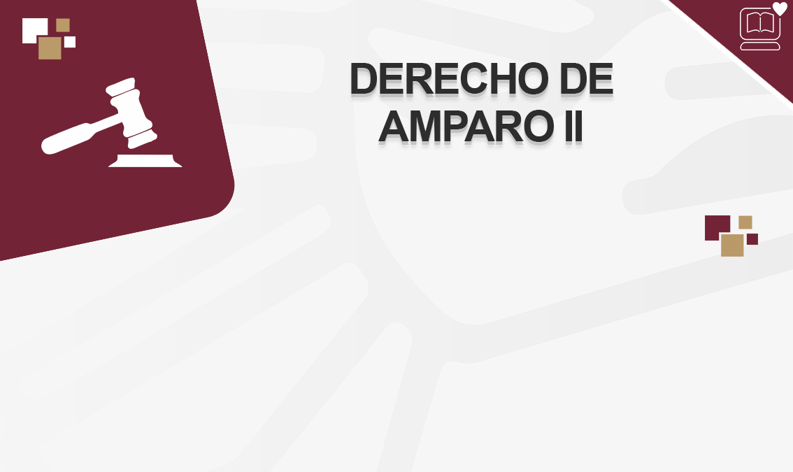 Derecho de Amparo II IEDEP.DER0905
