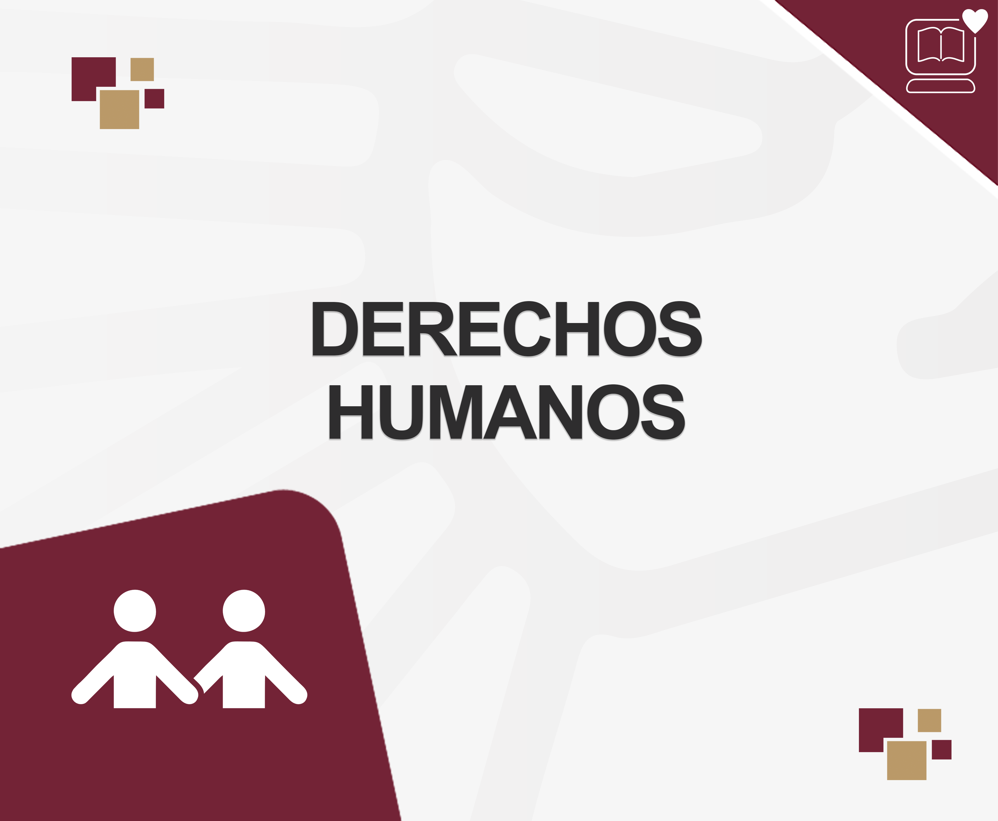 Derechos Humanos IEDEP.EN1030.TC206