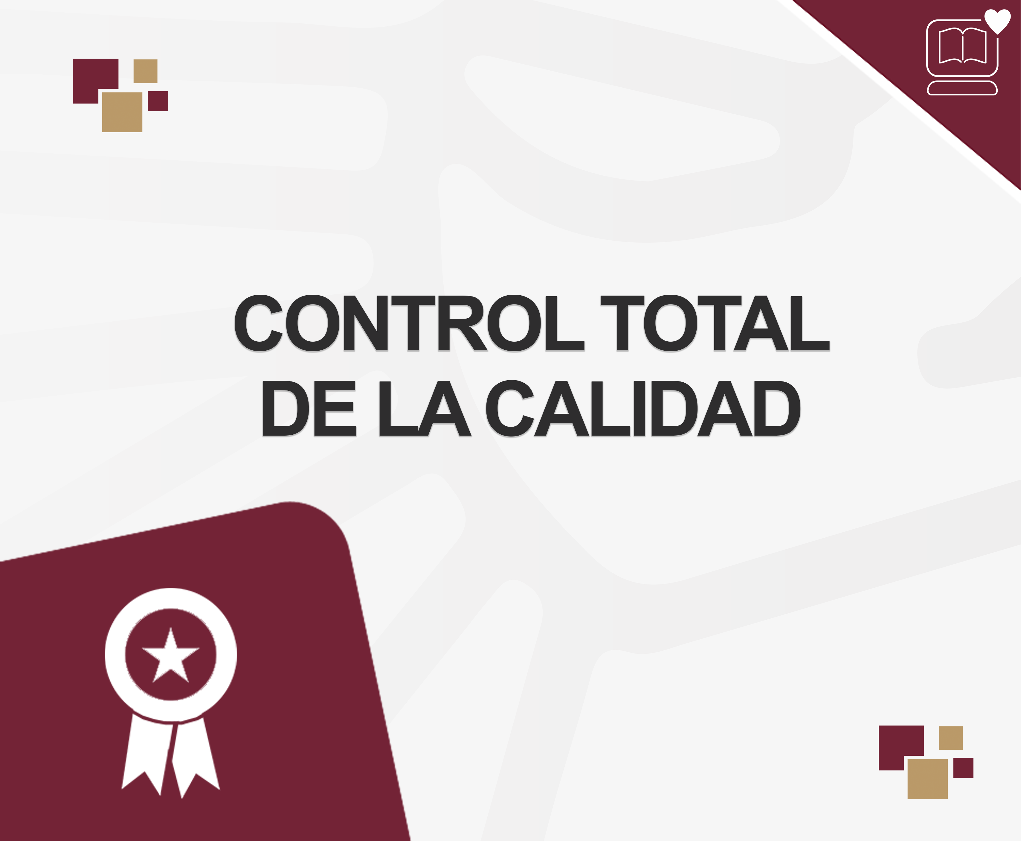 Control Total de la Calidad IEDEP.IC705
