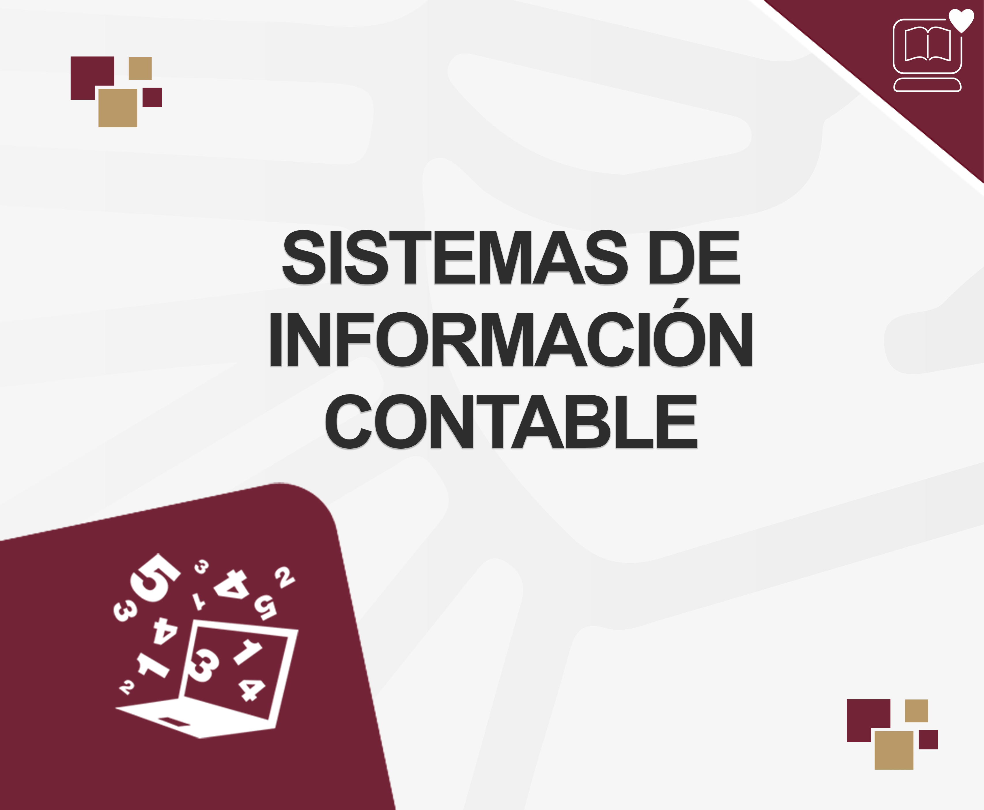 Sistemas de Información Contable IEDEP.LCP224474