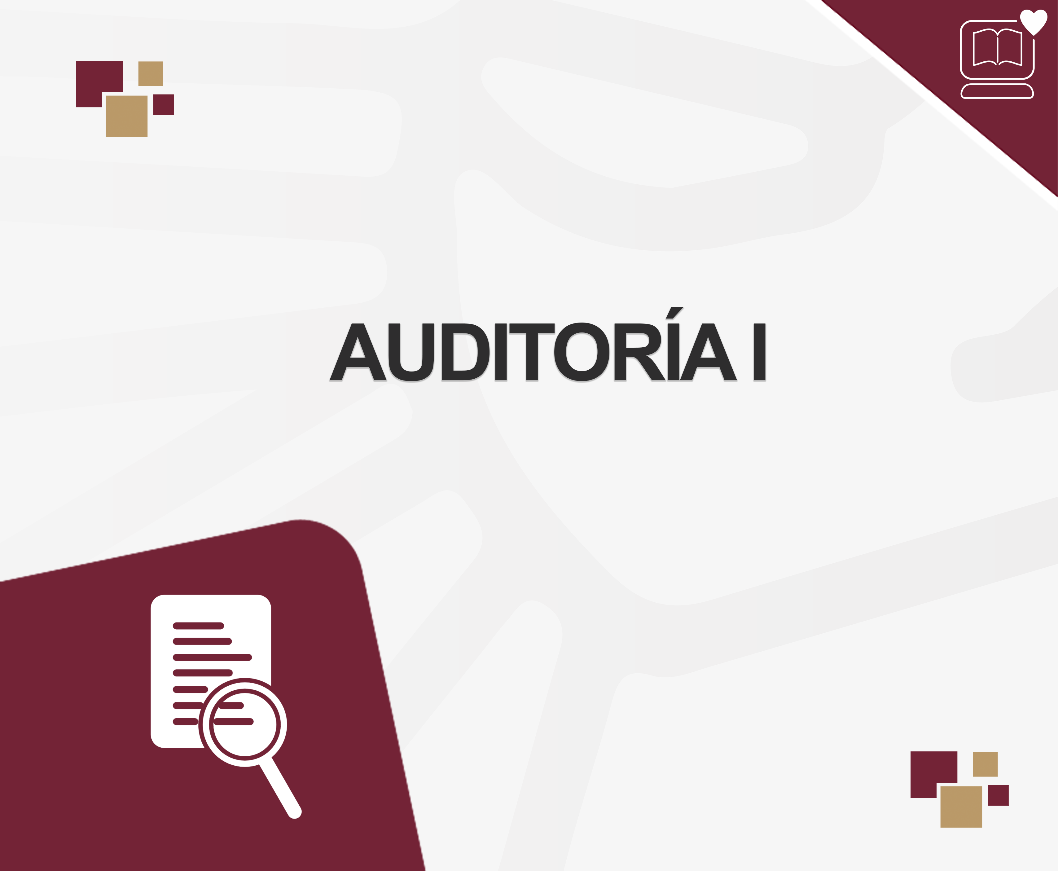 Auditoría I IEDEP.LCP224756