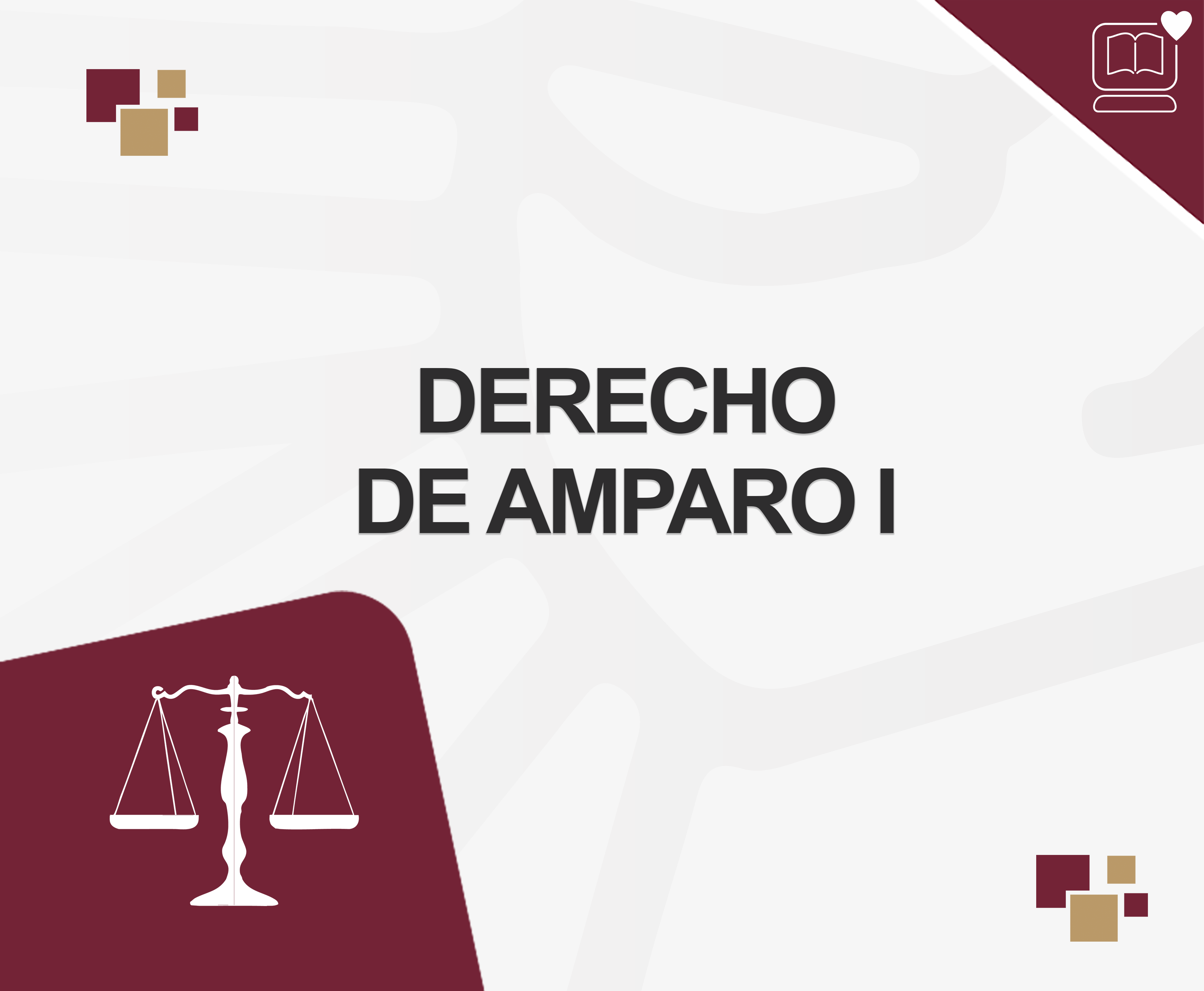 Derecho de Amparo I  IEDEP.LDE224775