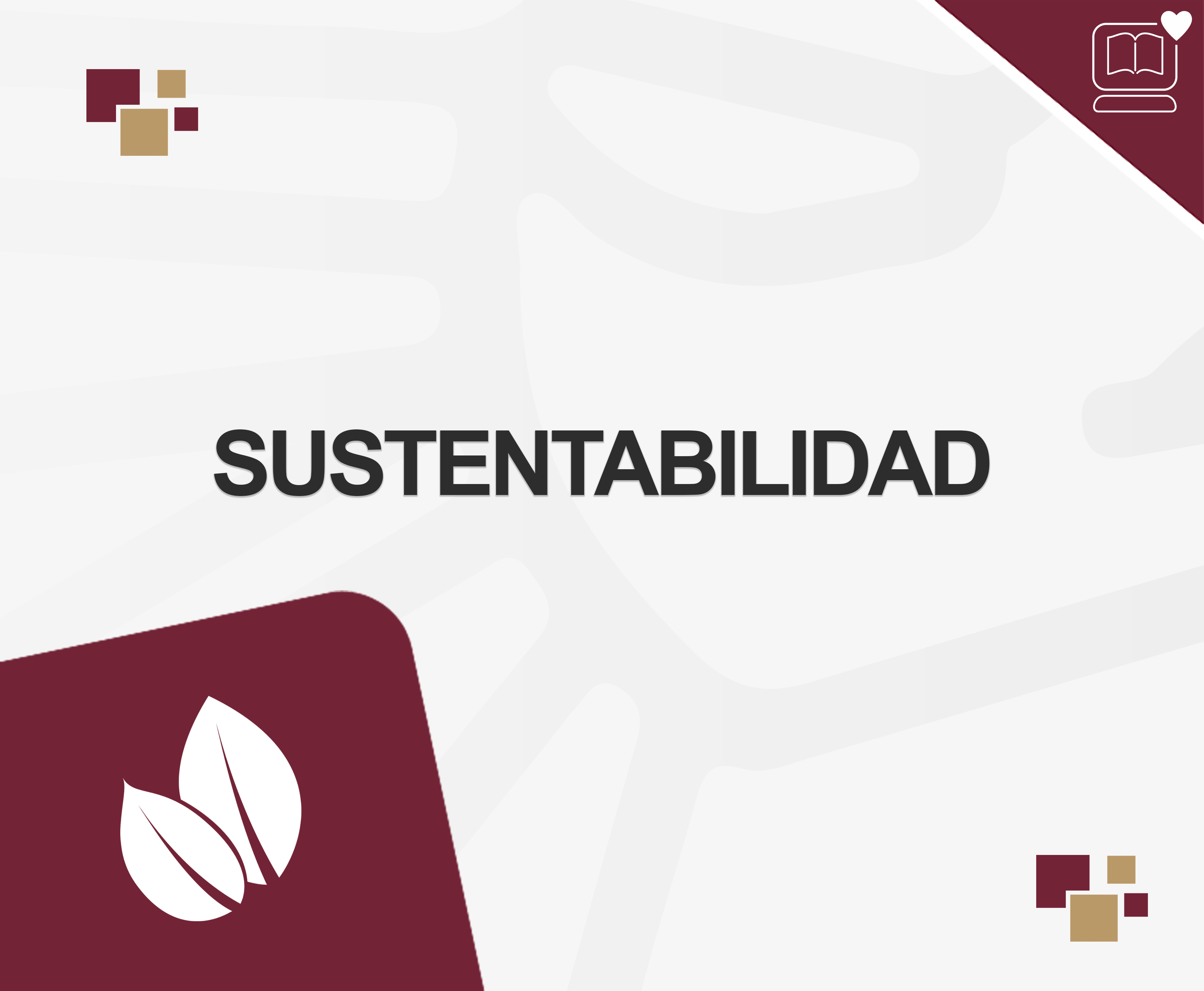 Sustentabilidad IEDEP.LFG24441