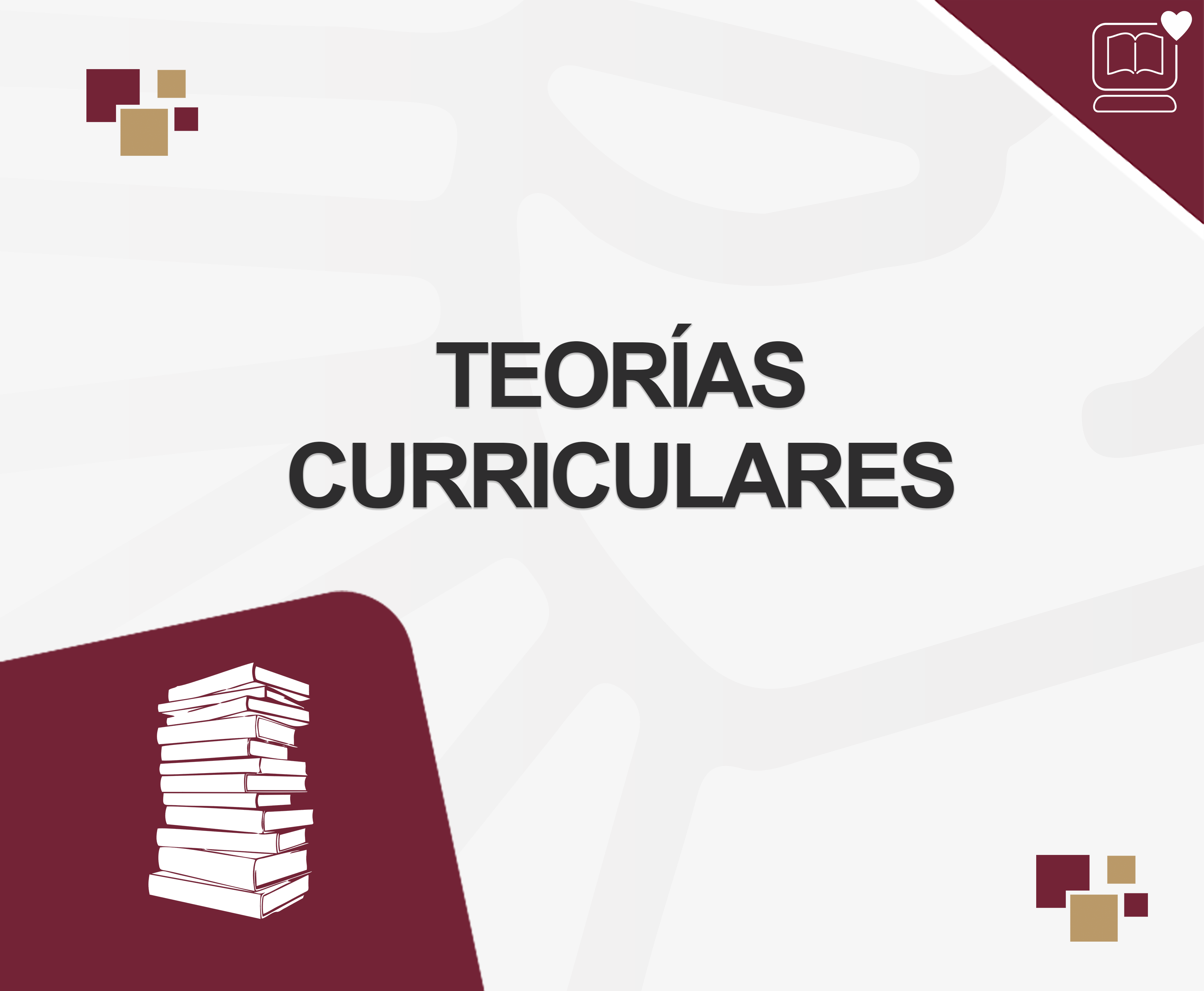 Teorías Curriculares IEDEP.LPE124475