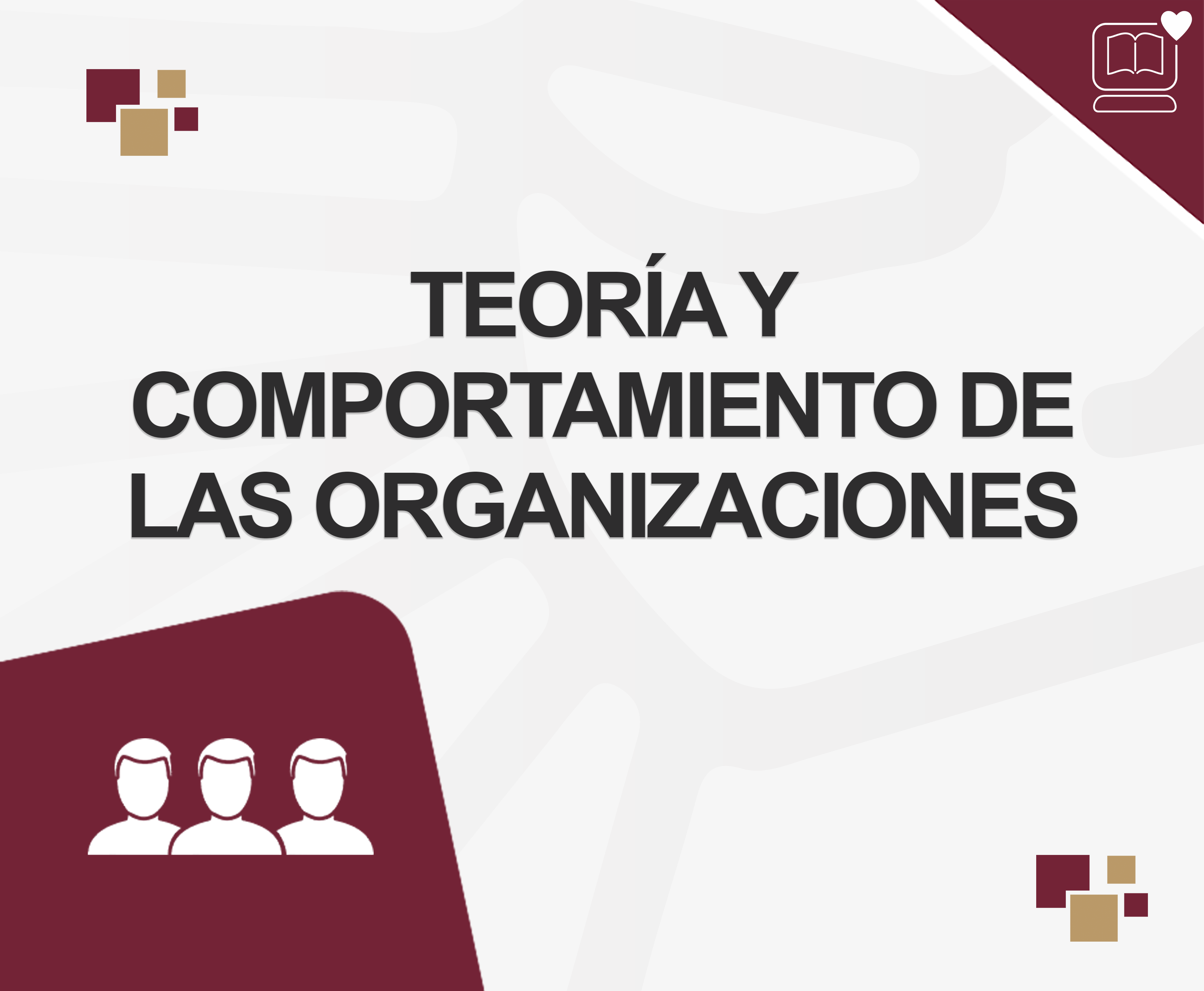 Teoría y Comportamiento de las Organizaciones IEDEP.PSC0404